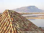 L`airone, cumulo di sale e le saline